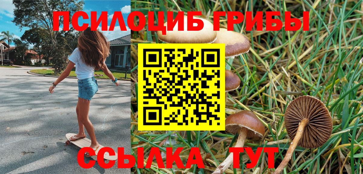 Галлюциногенные грибы Psilocybine cubensis Изобильный