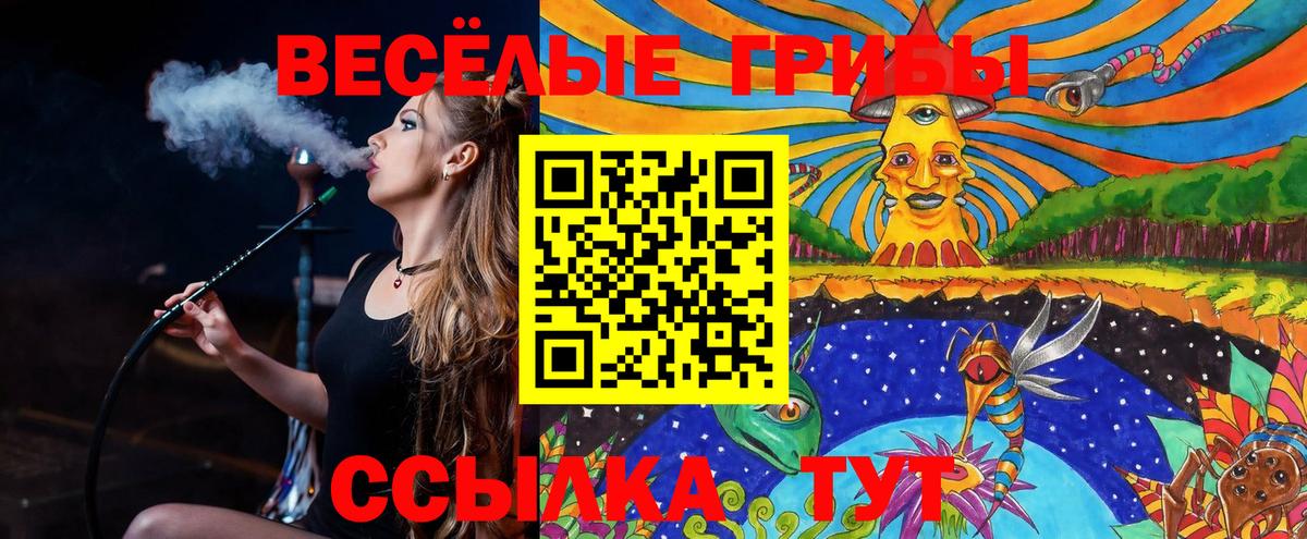 наркотики  Вход с VPN  Изобильный  Псилоцибиновые грибы GOLDEN TEACHER 