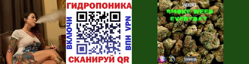 Конопля семена Изобильный